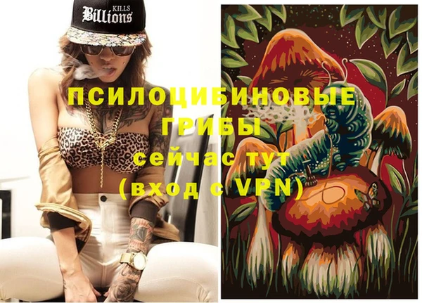PSILOCYBIN Сосновоборск