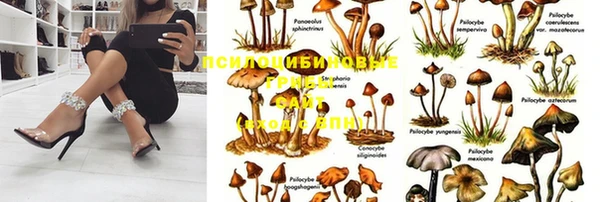 дживик Белоозёрский